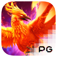 pp image